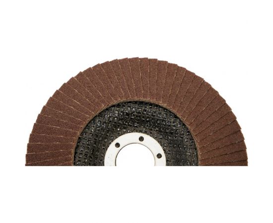 Круг лепестковый торцевой (125х22.23 мм; P120; корунд) CARBODISK Н0172135 – изображение 6