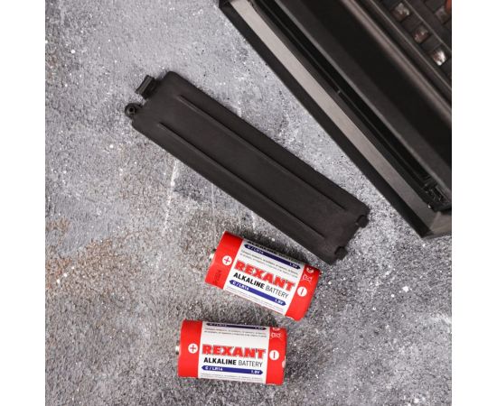 Алкалиновая батарейка REXANT тип С, LR14 2 шт 30-1014 – изображение 6