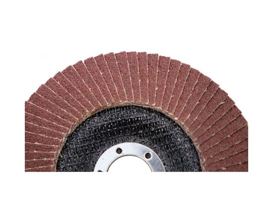 Круг лепестковый торцевой Profi (125х22.23 мм; корунд; P60) ОАО Волжский абразивный завод Н0170060 – изображение 6