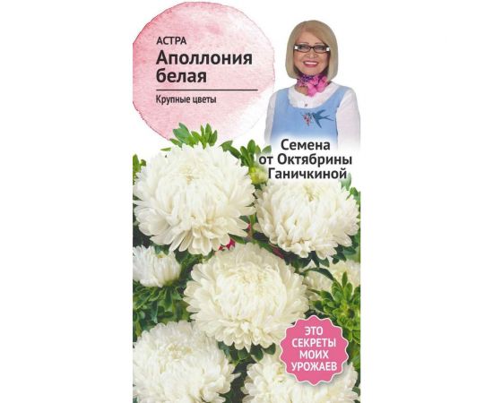 Семена ОКТЯБРИНА ГАНИЧКИНА Астра Аполлония белая 0.2 г 119217 