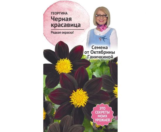 Семена ОКТЯБРИНА ГАНИЧКИНА Георгина Черная красавица 5 шт. 119666 