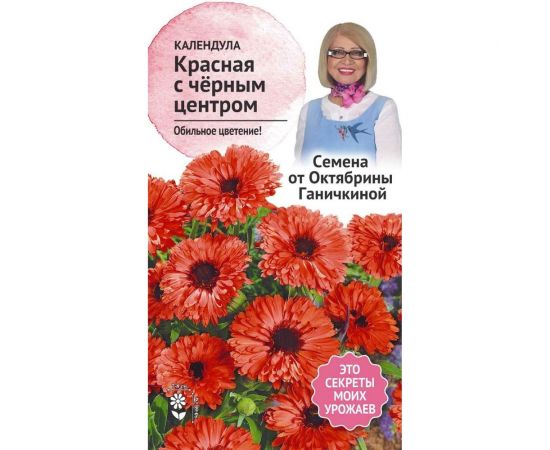 Семена ОКТЯБРИНА ГАНИЧКИНА Календула Красная с черным центром 0.3 г 119020 