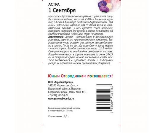 Семена Детская грядка Астра 1 сентября 0.3 г 120298 – изображение 2
