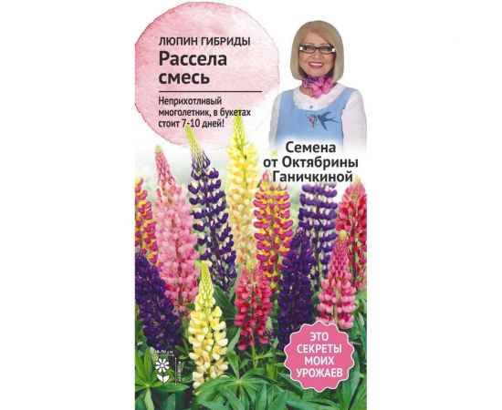 Семена ОКТЯБРИНА ГАНИЧКИНА Люпин Гибриды Расселя смесь, 0.5 г 122838 