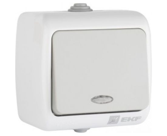 Одноклавишный выключатель EKF Мурманск с индикатором 10А серый 793501 