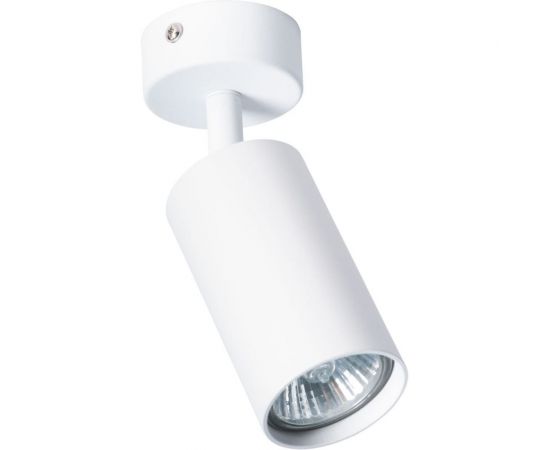 Потолочный светильник Arte Lamp AQUARIUS A3216PL-1WH 