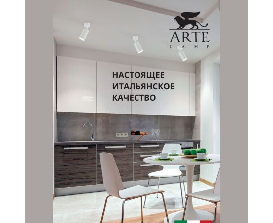 Потолочный светильник Arte Lamp AQUARIUS A3216PL-1WH – изображение 2