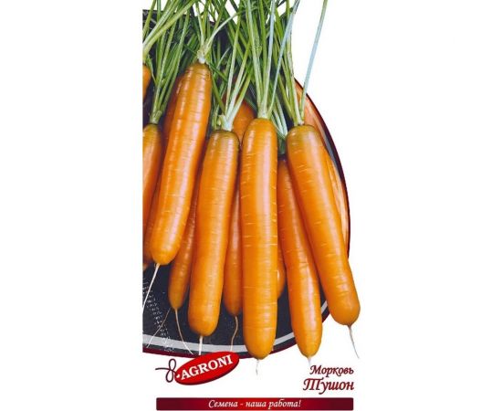Семена Агрони Морковь ТУШОН 1581 – изображение 2