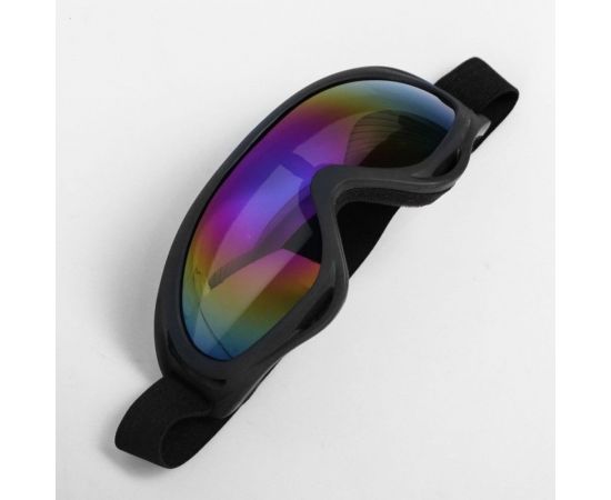 Очки для езды на мототехнике СИМАЛЕНД, черные, стекло фиолетовый хамелеон, 4295588 – изображение 2