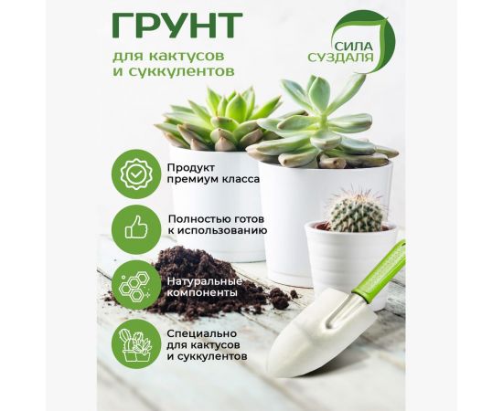 Грунт Сила Суздаля Кактусы и суккуленты 5 л 4680004060468 – изображение 2