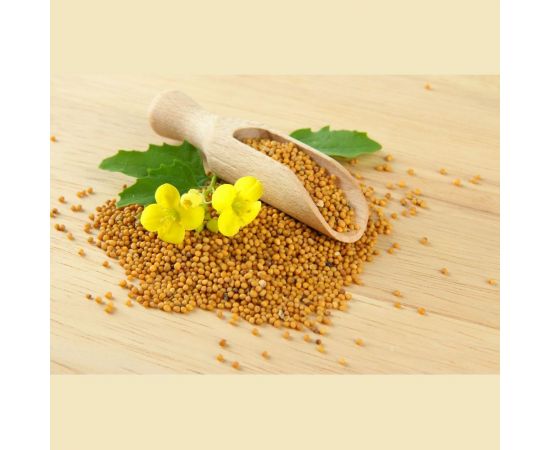 Семена горчицы Сила Суздаля 1 кг 4680004061090 – изображение 2