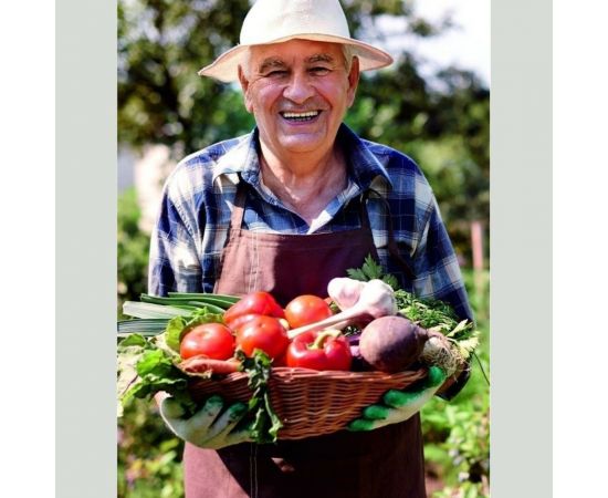 Грунт для томатов и перцев Сила Суздаля Black, 10 л 4680004061465 – изображение 3