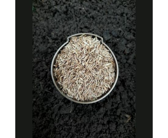 Газонная травосмесь Сила Суздаля Универсальная 3 кг 4680004061182 – изображение 4