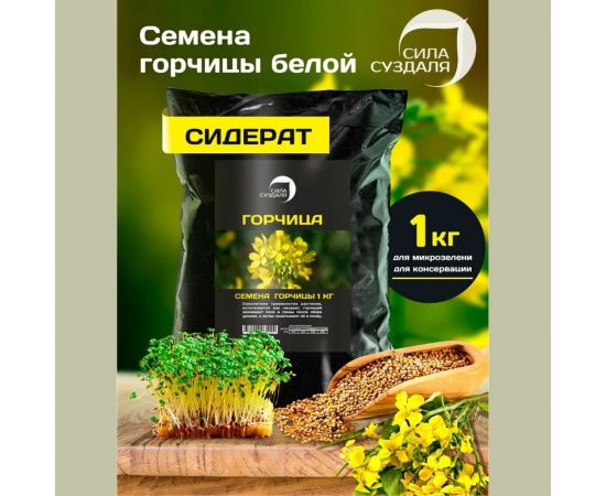 Семена горчицы Сила Суздаля 1 кг 4680004061090 – изображение 5