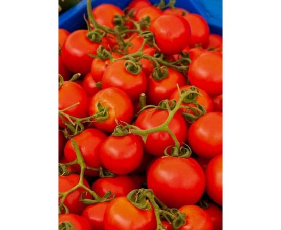 Грунт для томатов и перцев Сила Суздаля Black, 10 л 4680004061465 – изображение 5