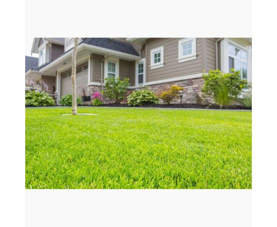 Газонная травосмесь Сила Суздаля Универсальная 3 кг 4680004061182 – изображение 6