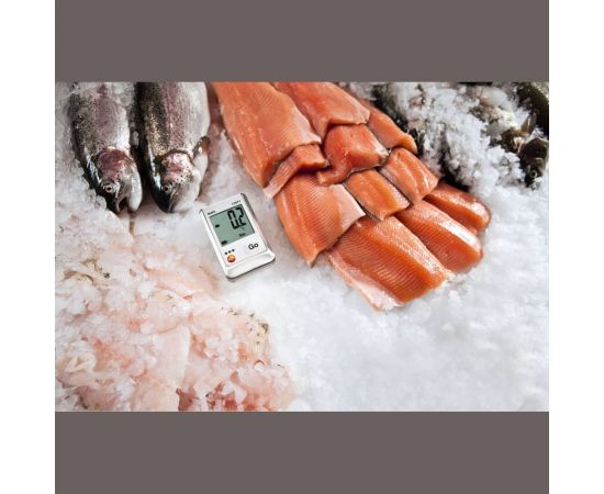 Мини-логгер данных температуры Testo 174 T 0572 1560 – изображение 9