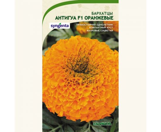 Семена САДОВИТА Бархатцы Антигуа F1 Оранжевые 5 семечек 00161770 