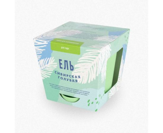 Набор для выращивания растений Тысяча Листьев Ель сибирская голубая tl-002 