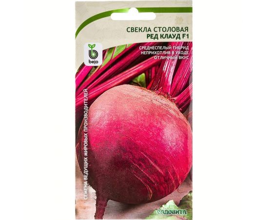 Семена САДОВИТА Свекла Ред Клауд F1 80 семечек 00183591 – изображение 4
