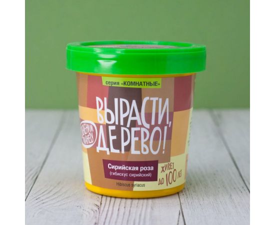 Набор для выращивания растений Вырасти,Дерево! Сирийская роза zk-126 