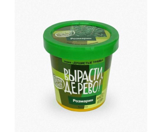 Набор для выращивания растений Вырасти,Дерево! Розмарин zk-036 