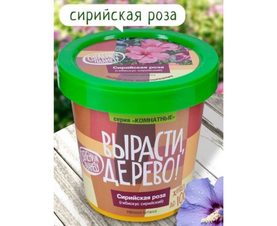 Набор для выращивания растений Вырасти,Дерево! Сирийская роза zk-126 – изображение 2