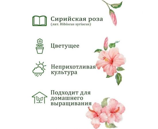 Набор для выращивания растений Вырасти,Дерево! Сирийская роза zk-126 – изображение 3