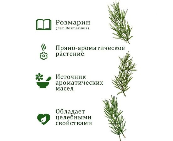 Набор для выращивания растений Вырасти,Дерево! Розмарин zk-036 – изображение 5