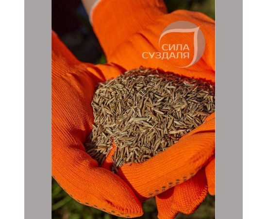 Газон Сила Суздаля Низкорослый 3 кг 4680004061991 – изображение 5