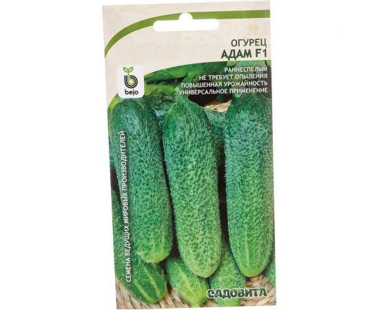 Семена САДОВИТА Огурец Адам F1 5 семечек 00140107 