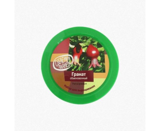 Набор для выращивания растений Вырасти,Дерево! Гранат обыкновенный zk-014 – изображение 2