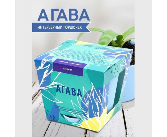 Набор для выращивания растений Тысяча Листьев Агава tl-025 – изображение 2