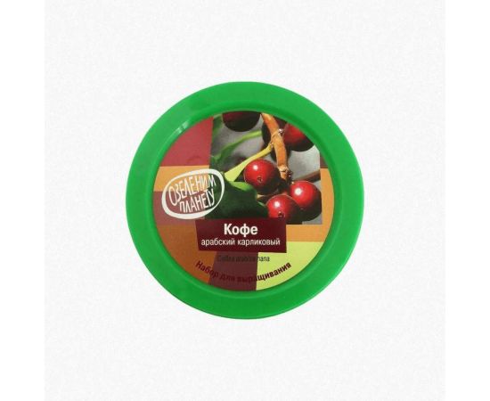 Набор для выращивания растений Вырасти,Дерево! Кофе арабский zk-012 – изображение 2