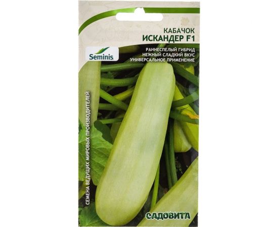 Семена САДОВИТА Кабачок Искандер F1 5 семечек 00140096 – изображение 4