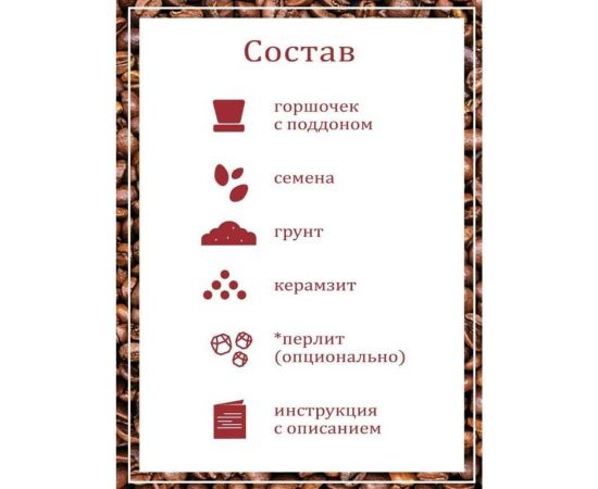 Набор для выращивания растений Вырасти,Дерево! Кофе арабский zk-012 – изображение 5