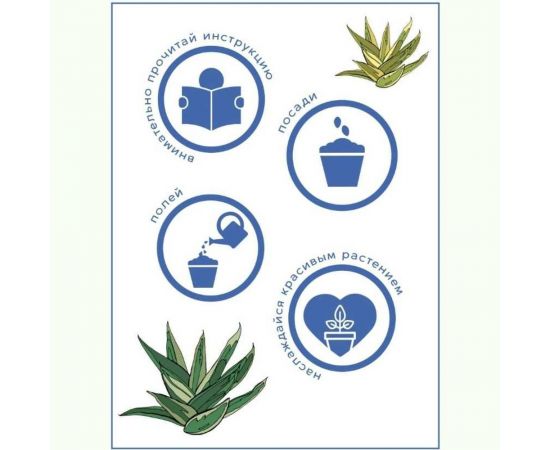 Набор для выращивания растений Тысяча Листьев Агава tl-025 – изображение 6