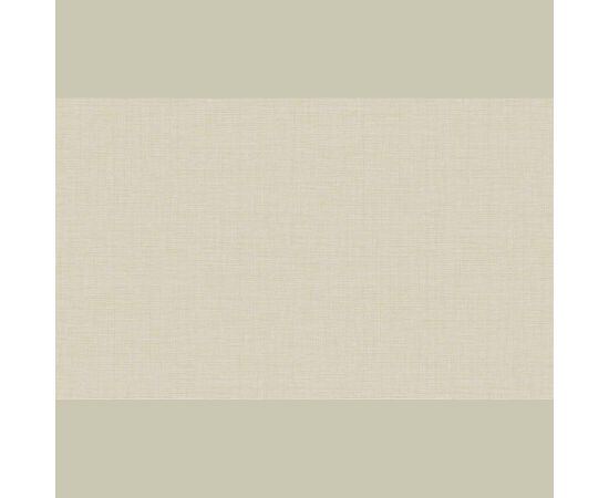 Обои Erismann Dragon 60551-07 