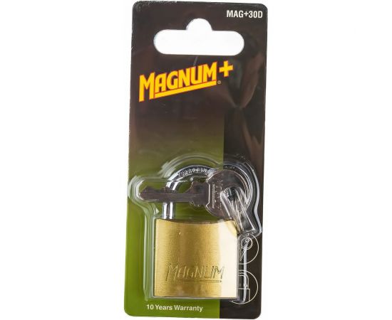 Навесной замок MasterLock MAGNUM MAG30EURD – изображение 2