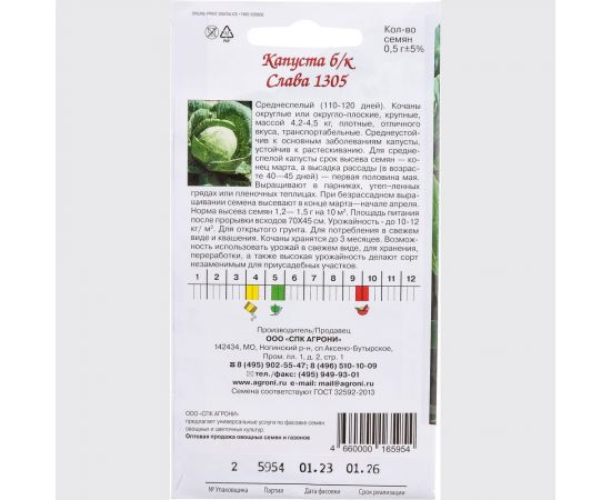 Семена Агрони Капуста белокочанная СЛАВА 5954 – изображение 3