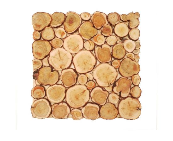 Панно из спилов можжевельника Везувий 500x500 мм П-12397 