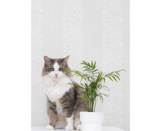 Самоклеящиеся обои Центурион Бриз белый Аспект 500x2800x2 мм 79082 – изображение 6