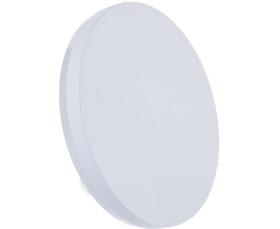 Уличный светодиодный светильник FERON DH105, 12W, 600Lm, 4000K, белый, круглый 180х50 6320 – изображение 4