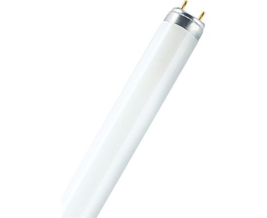 Линейная люминесцентная лампа Osram L 36W/840 25x1 4058075692978 