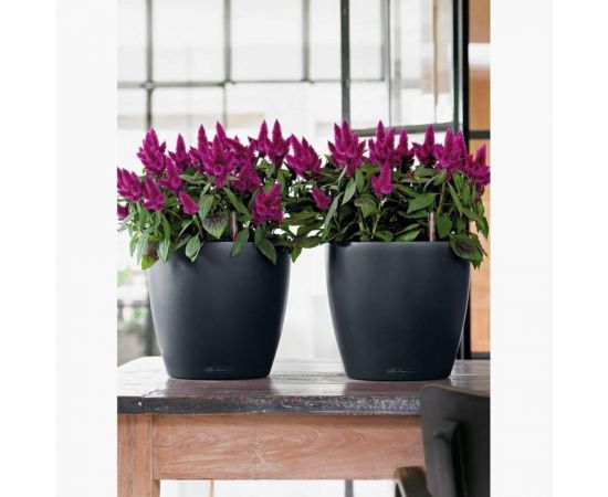 Кашпо Lechuza Classico Color Complete Белый D21.5xH20.5 см 13170 – изображение 8