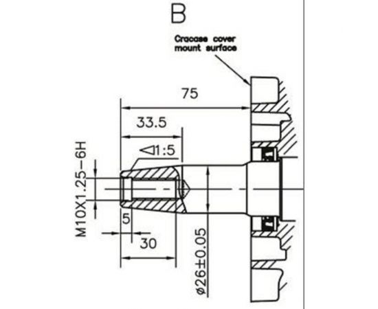 Двигатель дизельный 186FA (B-тип, вал конус) - T1 ТСС 025591 – изображение 5