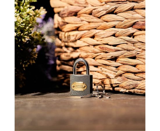 Навесной замок ЧЕТЫРЕ СЕЗОНА Чугун 32 мм 79-0003 – изображение 2