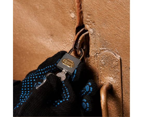 Навесной замок ЧЕТЫРЕ СЕЗОНА Чугун 32 мм 79-0003 – изображение 3