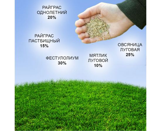 Семена газона Зри в корень Медленнорастущий 0.8 кг 1010026127 – изображение 4