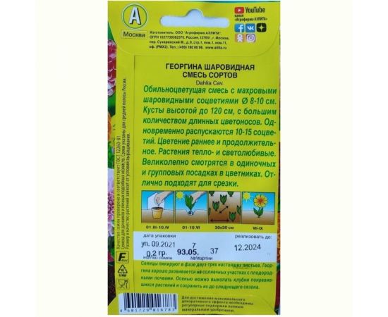 Семена Аэлита Георгина Шаровидная, смесь окрасок, однолетний, 0.2 г 4601729016783 – изображение 2